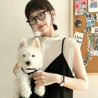 疯狂的兔子